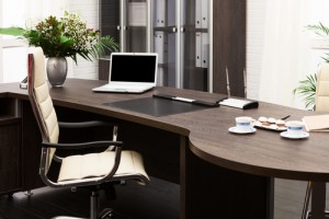 Modernes Büro mit dunklem Holz